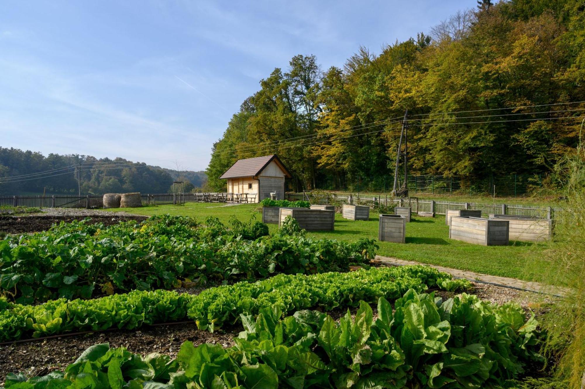 Hotel Grad Otocec - Relais Chateaux Esterno foto